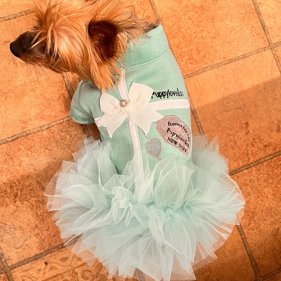 “Tiffanys-like” dress for your little fur baby - Picture 3 of 4